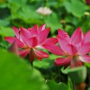 (테마투어)생태투어 이미지