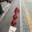 네일유메이징 이미지
