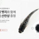 메다카갤러리 네이버블로그