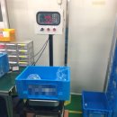 #에이엔디 #카스 #계수저울 #수량저울 제작 저울 납품 건