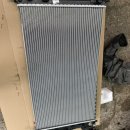 영카센타 이미지