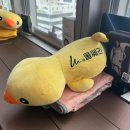 서면아이온시티빌딩 | [공지] 서면 바노바기 텐쎄라 솔직 후기! 멍 붓기 없이 ?일차 전후 비교까지 리얼하게 !