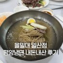 을밀대 일산점, 아이랑 할머니랑 모두 만족한 평양냉면 후기