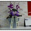 다복부동산중개 이미지