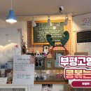 콩볶는야옹이 이미지