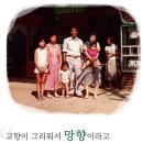 망향비빔국수남동점 네이버블로그