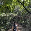 서봉산 산림욕장 1 | 경기도 화성 서봉산 등산코스 소개 – 초보자도 부담 없는 힐링 산행