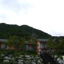 안인진길 이미지