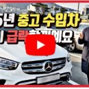 365차차차 이미지