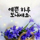 화요일 Daum카페