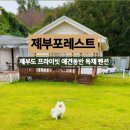 제부포레스트 이미지