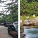 맑은물소리캠핑장 이미지