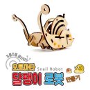 snail