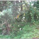 대야리마을회관 이미지