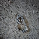 케이원(K one)호텔 | 과천 서울대공원 동물원 나들이 후 들른 브런치카페 케이원 후기