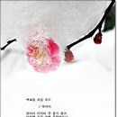 백발을 처음보고 / 백거이 슌야 이미지