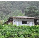 분천민박 이미지