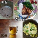 맞춤 케토 다이어트 후기
