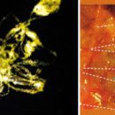 한서자기원 이미지