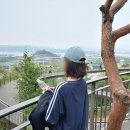 황소갈비플러스 | 2026년 5월 (1) / 엑스디너리 히어로즈 김정수가 내 이상형이라고 말해본다