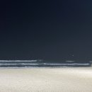 월포해수욕장야영장 이미지