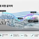 동해전자