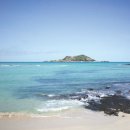 부부민박 이미지