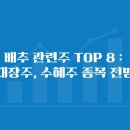 남해아그로팜주식회사 | 배추 관련주 TOP 8 : 대장주, 수혜주 종목 전망