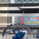 고로점포상회 | 노량진수산시장 맛집 ‘전라상회’ 전라 오마카세(4인) 두툼한 회 입안 그득하게 즐겨보기