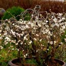 인생은 시처럼 음악처럼 이미지