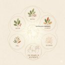 아사히 | 맥주효모 효능부터 아사히 후기까지 한 번에 정리해봤어요