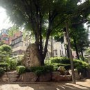 개나리공원 이미지