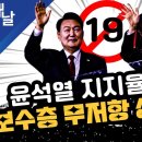 윤석열 지지율 19% 보수층 무저항 상태 돌입 이미지