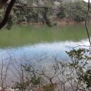 부산진구-31 이미지