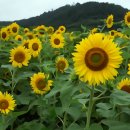 해남공룡박물관 이미지