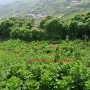 금오도공인중개사사무소 이미지