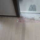 금강파크 이미지