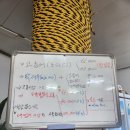 [제주] 모슬포 방어 맛집 황금물고기