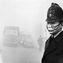 영국3 태양광발전소 이미지