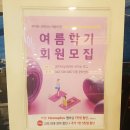국수나무유성 이미지
