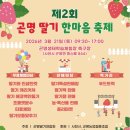 곤명생태학습체험장축구장 | 사천 가볼만한곳 비토섬 별주부전축제 곤명 딸기축제 일정 정리