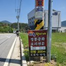 리송차이나 이미지