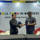 스코비아일랜드 이미지