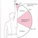 바름퍼스널트레이닝 이미지