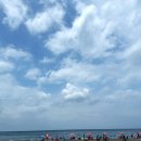 에오마르 [제주] <b>에오마르</b> / 제주 공항 근처카페 / 오션뷰 베이커리 카페 / 반려견 동반가능 / 삼양해수욕장 카페