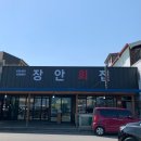 장안바다향 | 강릉 맛집 물회 비교 장안횟집 황토물회 내돈내산