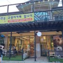 인투캣츠 이미지