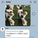 멍세권 이미지