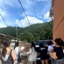 꿀돼지하우스민박 이미지