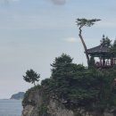 다인 행정사사무소 이미지